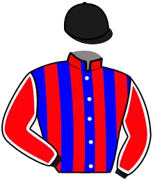 Casaque n°6