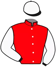Casaque n°4