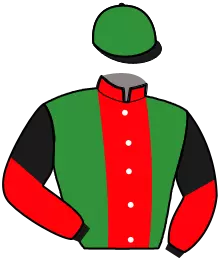 Casaque n°15
