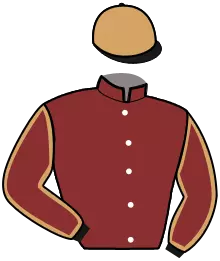 Casaque n°4