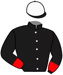 Casaque n°2