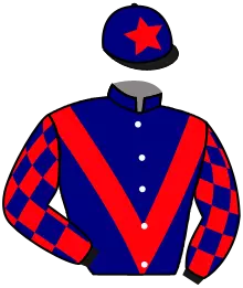 Casaque n°10