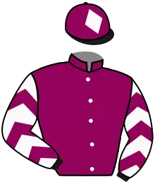 Casaque n°15