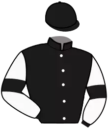 Casaque n°2