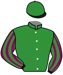 Casaque n°4