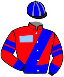 Casaque n°3
