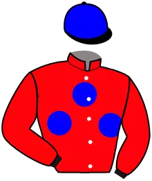 Casaque n°10