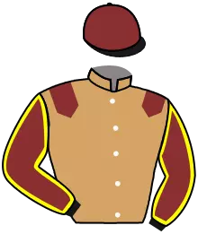 Casaque n°3