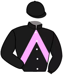 Casaque n°10