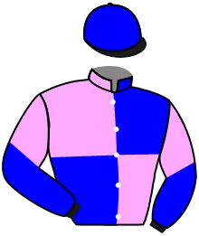 Casaque n°9