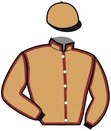 Casaque n°4