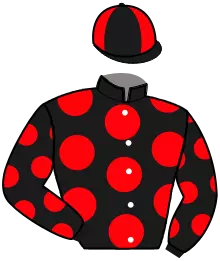 Casaque n°4