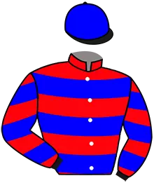 Casaque n°8