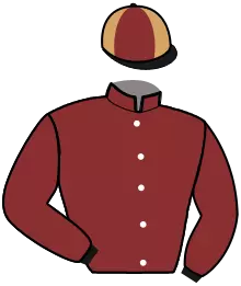 Casaque n°10