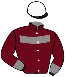 Casaque n°15
