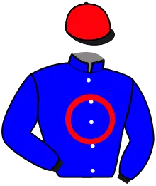 Casaque n°16