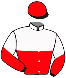 Casaque n°8