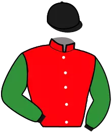 Casaque n°2