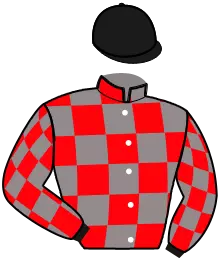 Casaque n°2