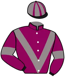 Casaque n°2