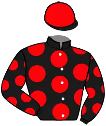 Casaque n°7