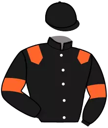 Casaque n°2