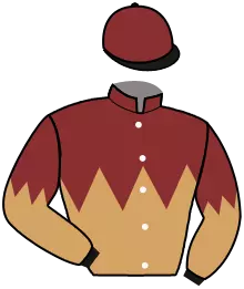 Casaque n°6