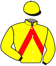 Casaque n°2