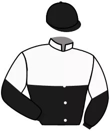 BORIS D.A.