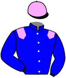 N°5
