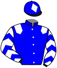 N°11