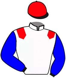 N°11
