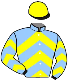 N°11