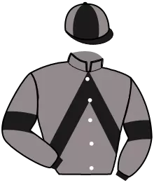 N°11