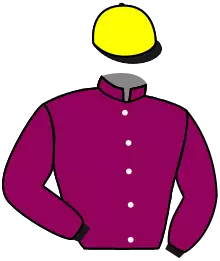 JOLIETTE COLLONGES