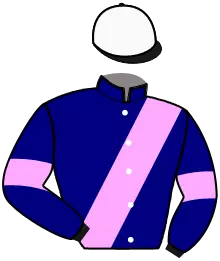 MERVEILLE DAB