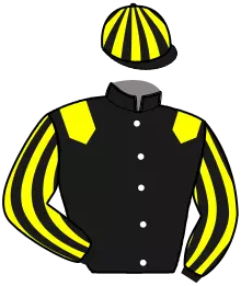 IF DE BRETAGNE