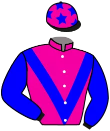 N°6