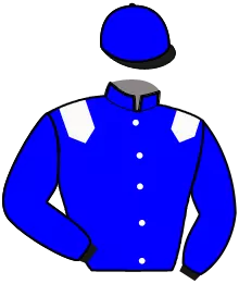 N°6