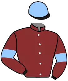 N°11