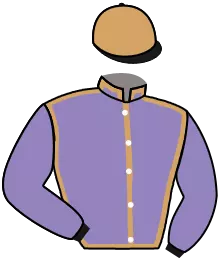 N°6