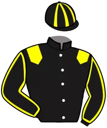 N°6