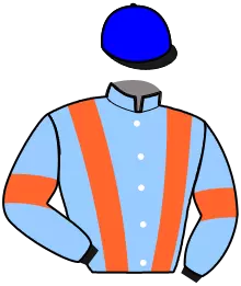 N°11