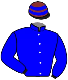 N°11