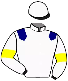 N°11