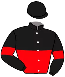 N°11