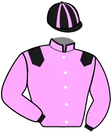 N°6