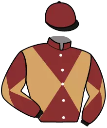 N°11