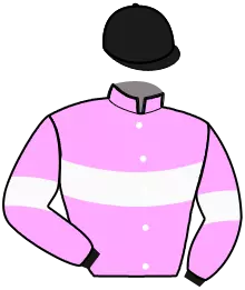 N°6