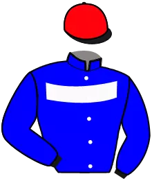 N°11
